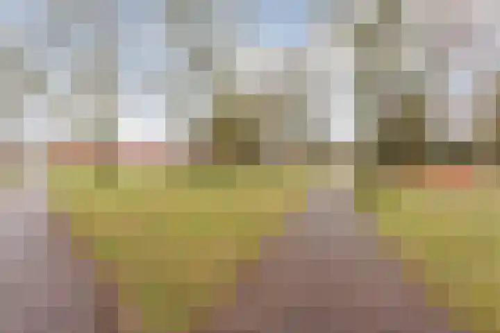Dillingecamp 23 Emmen thumbnail 30