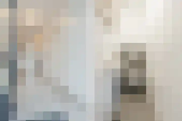 Dillingecamp 23 Emmen thumbnail 4