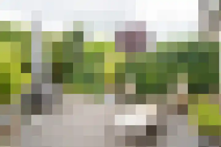 Dimmerlaan 24 Leerdam thumbnail 4