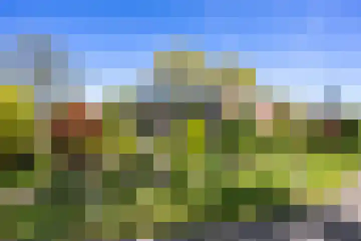 Ding 2 Norg