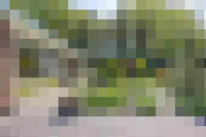 Ding 2 Norg thumbnail 10