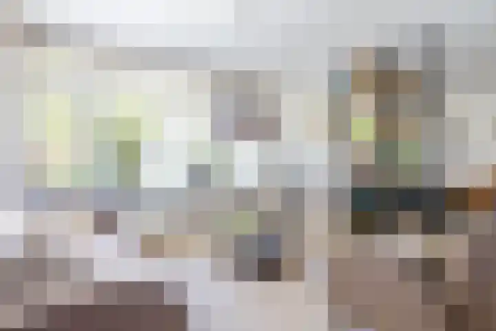 Ding 2 Norg thumbnail 16