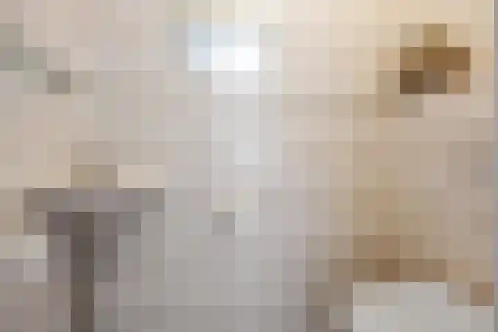 Ding 2 Norg thumbnail 29