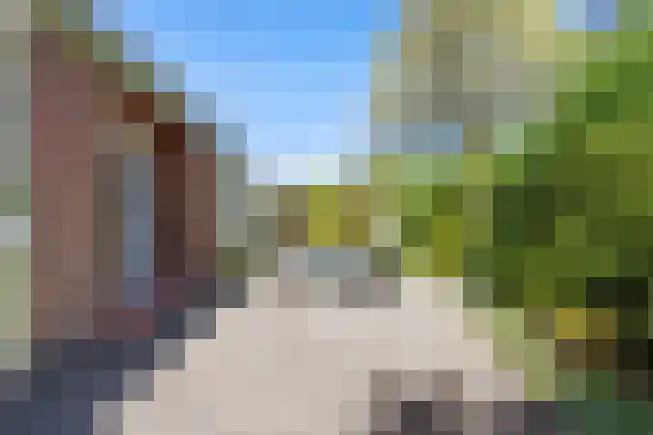 Ding 2 Norg thumbnail 37