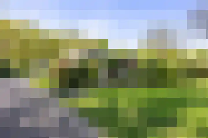 Ding 2 Norg thumbnail 39