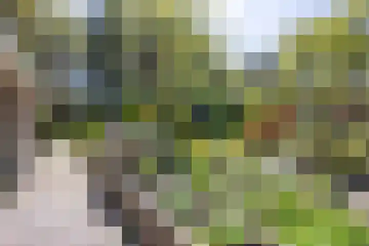 Ding 2 Norg thumbnail 40