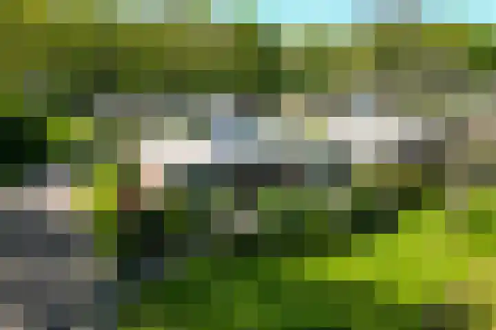 Ding 2 Norg thumbnail 44