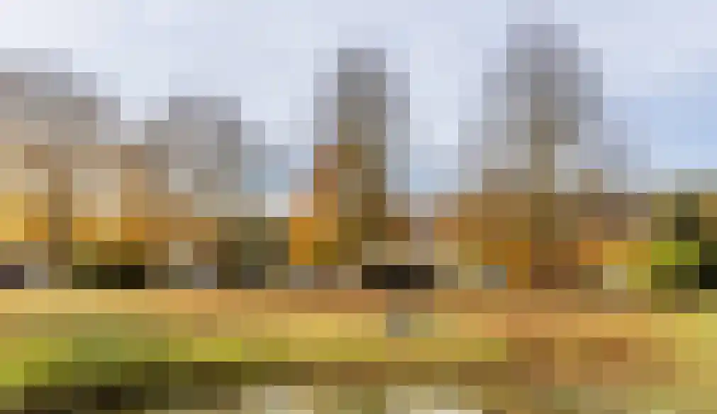 Logo Dingemanse makelaars