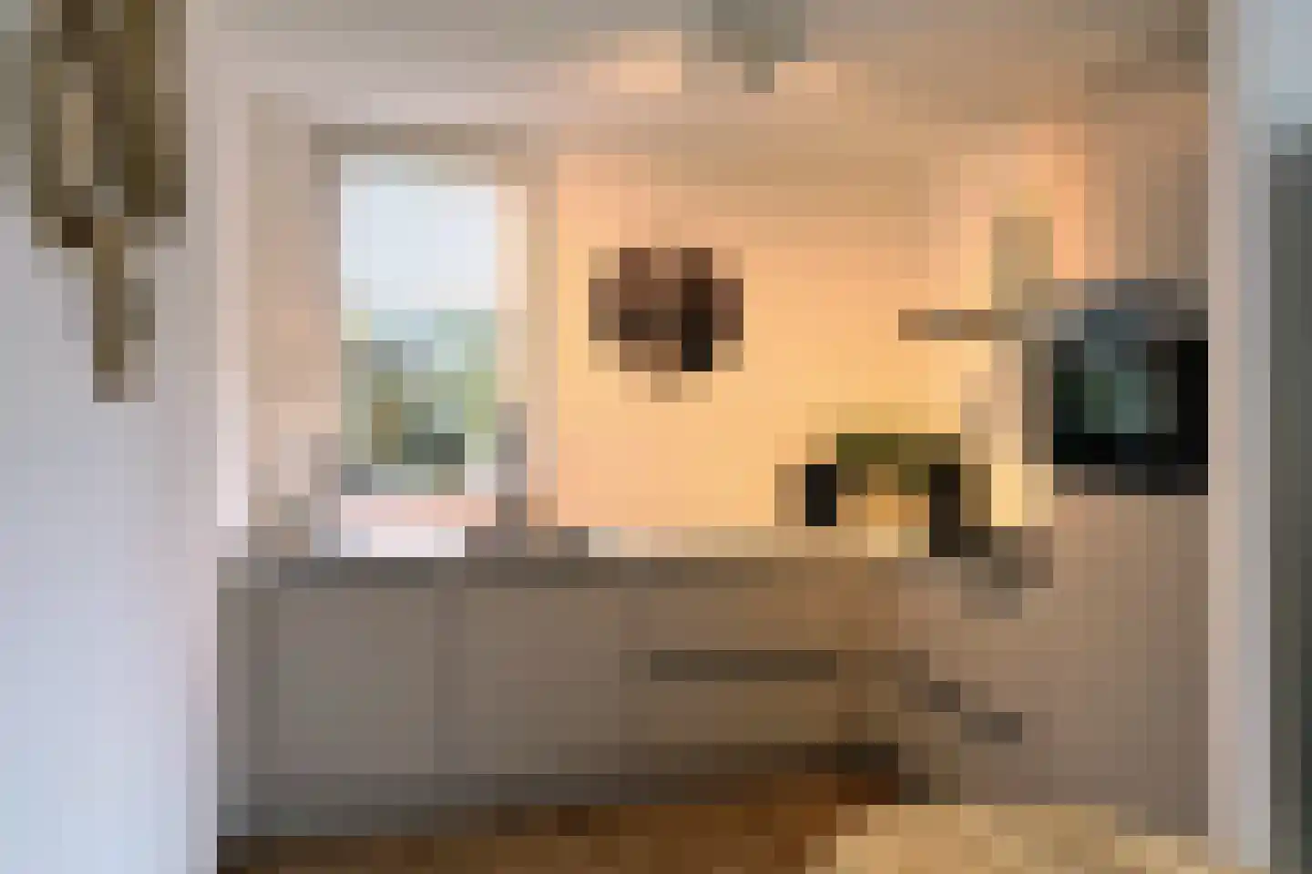 Dingmanshoofd 4 Vrouwenpolder thumbnail 5