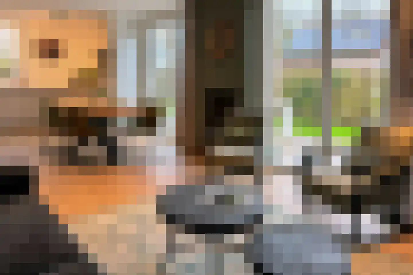 Dingmanshoofd 4 Vrouwenpolder thumbnail 8