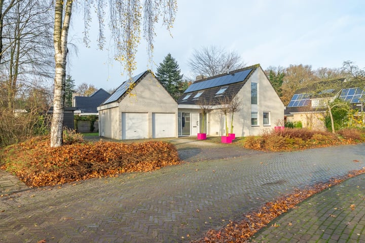 Dingspel 36 in Zuidwolde foto