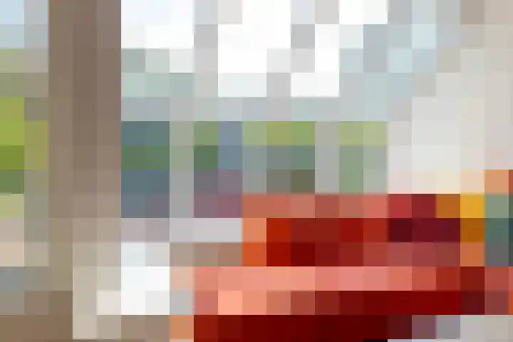 Dingspil 35 Borger thumbnail 12
