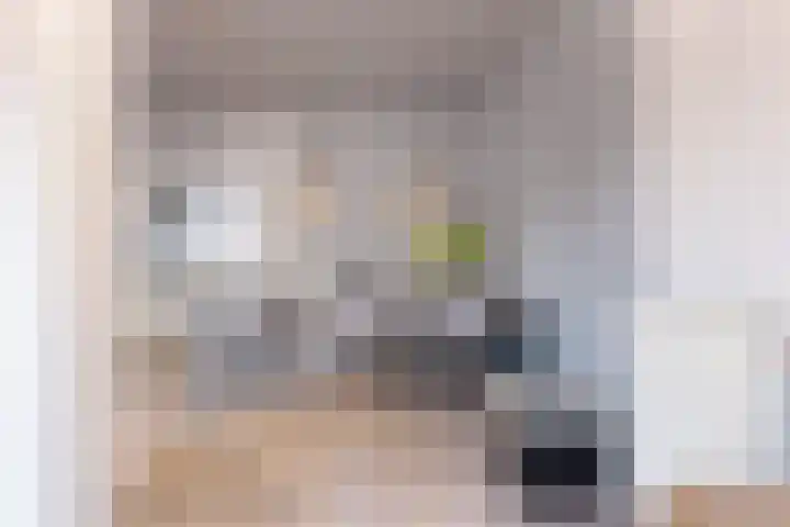 Dingspil 35 Borger thumbnail 13