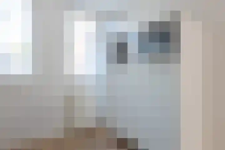 Dingspil 35 Borger thumbnail 20