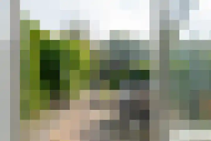 Dingspil 35 Borger thumbnail 24