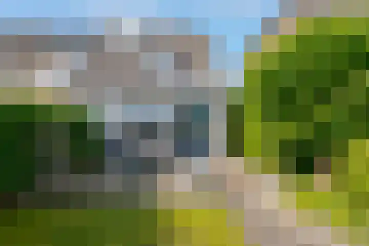 Dingspil 35 Borger thumbnail 27