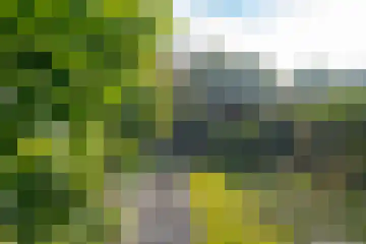 Dingspil 35 Borger thumbnail 28