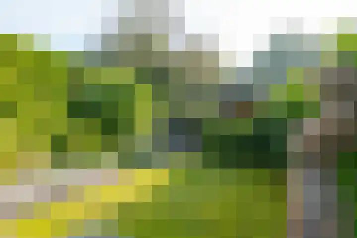 Dingspil 35 Borger thumbnail 29