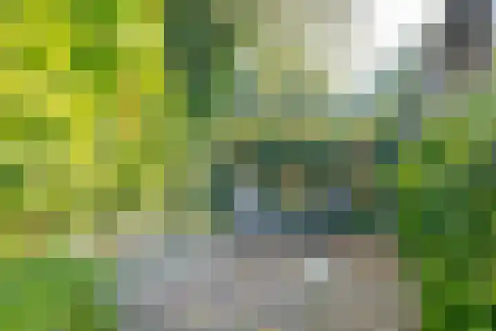 Dingspil 35 Borger thumbnail 30