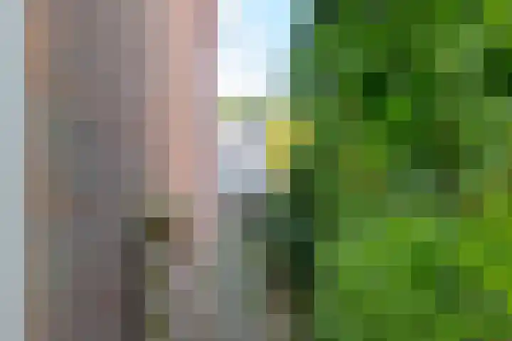 Dingspil 35 Borger thumbnail 31