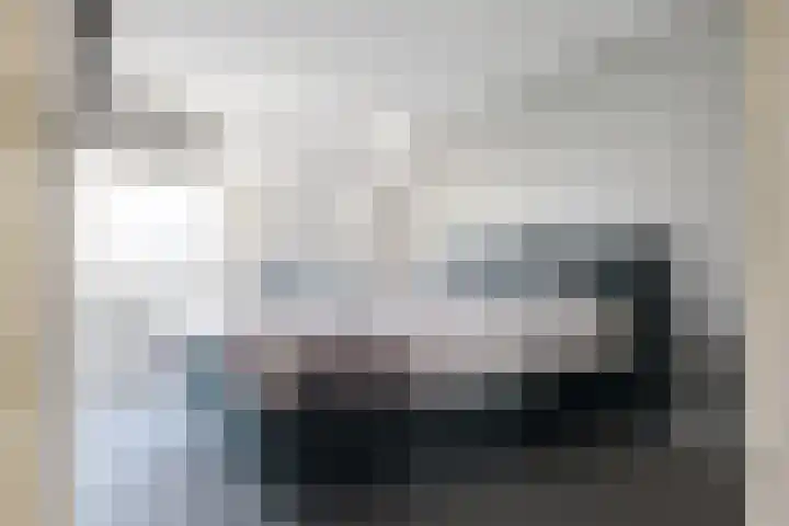 Dingspil 35 Borger thumbnail 34