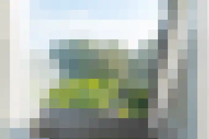 Dingspil 35 Borger thumbnail 36
