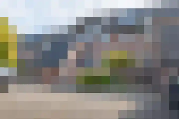 Dingspil 35 Borger thumbnail 4
