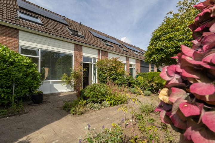 Dingspil 8 in Vries foto