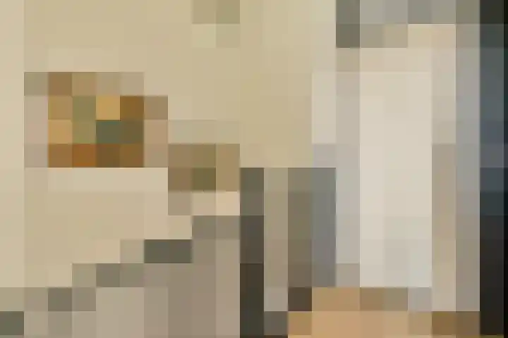 Dinkel 7 Huizen thumbnail 10
