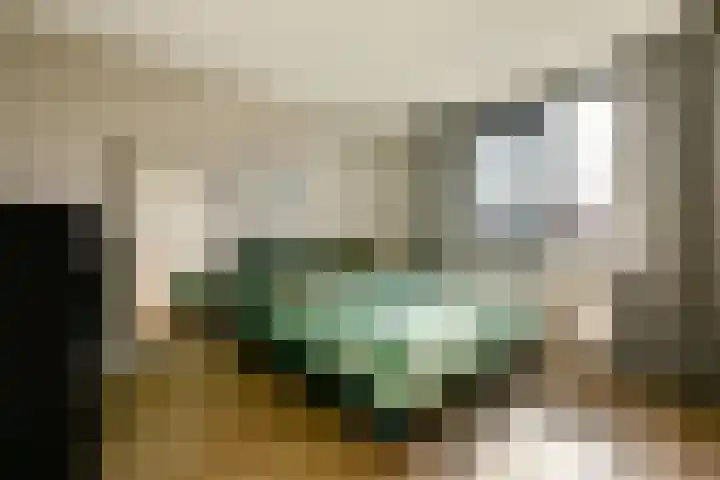 Dinkel 7 Huizen thumbnail 11