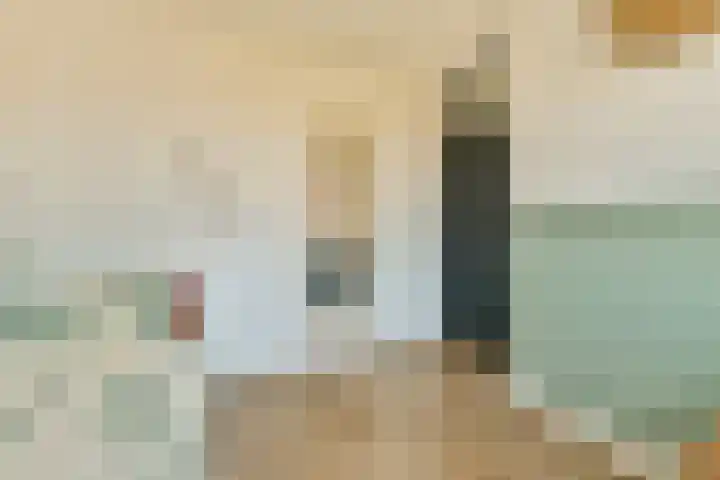 Dinkel 7 Huizen thumbnail 15