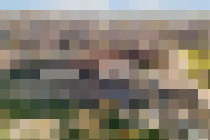 Dinkel 7 Huizen thumbnail 21