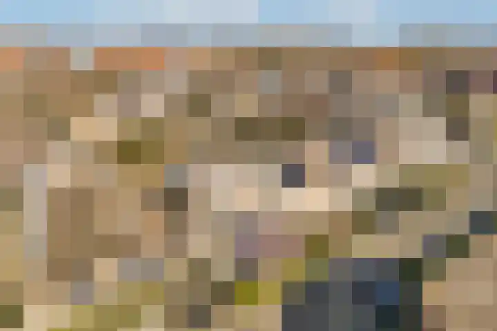 Dinkel 7 Huizen thumbnail 27