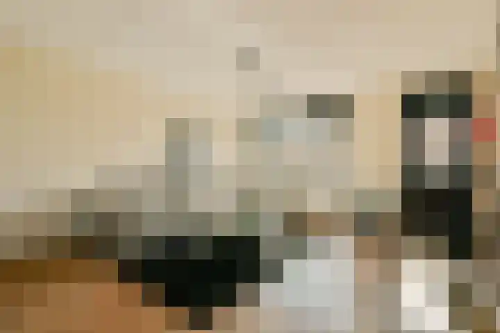 Dinkel 7 Huizen thumbnail 6
