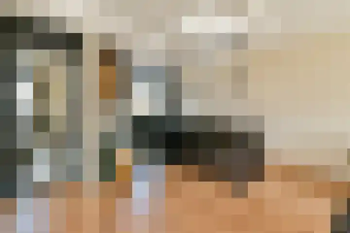 Dinkel 7 Huizen thumbnail 8