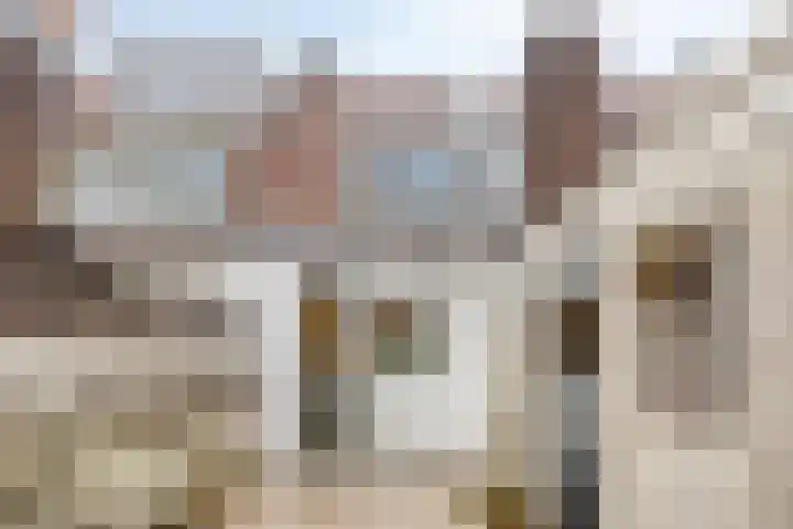 Dinkelstraat 32 Deventer thumbnail 20