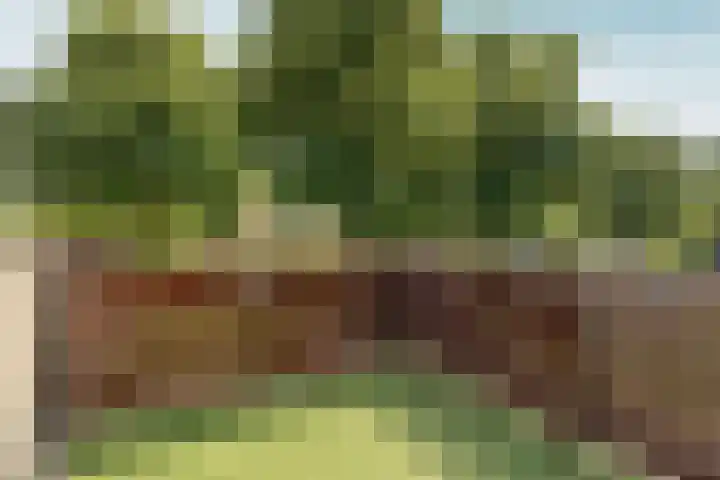 Dinkelstraat 4 Almere thumbnail 35