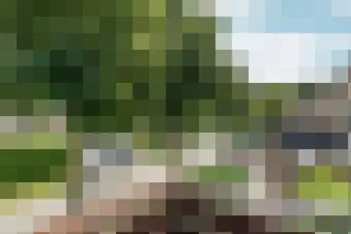 Dinkelstraat 4 Almere thumbnail 38