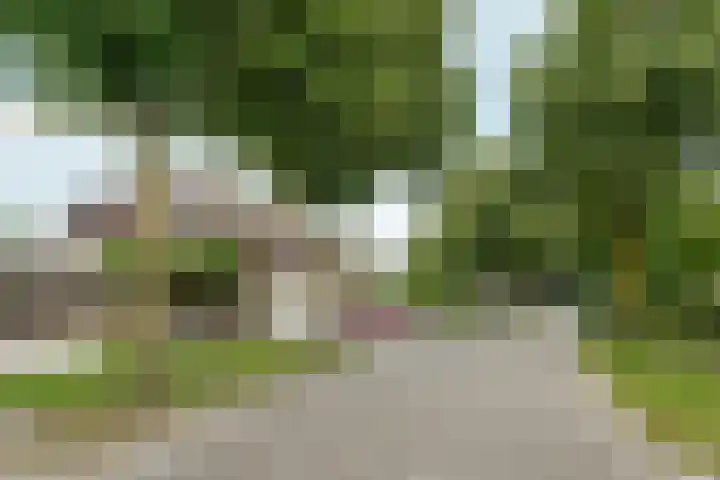 Dinkelstraat 4 Almere thumbnail 46