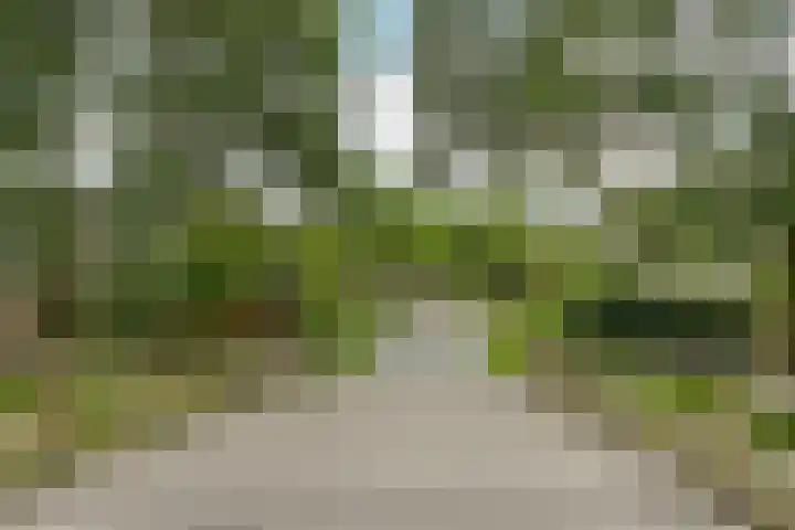 Dinkelstraat 4 Almere thumbnail 48