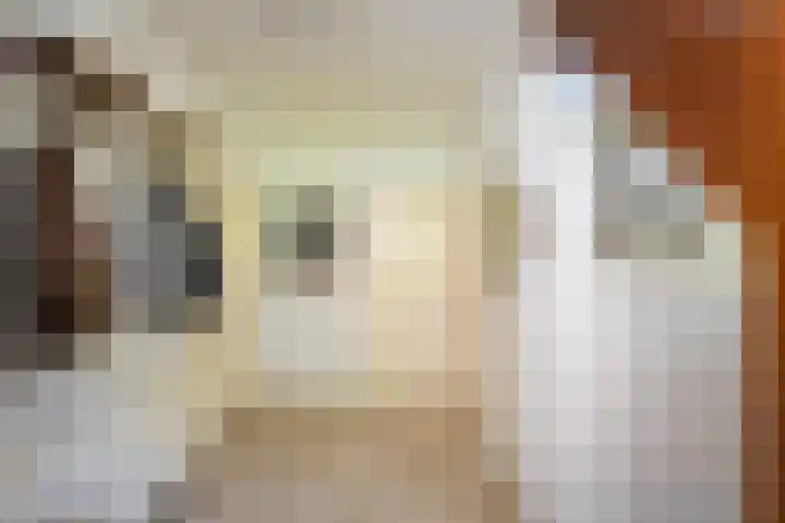 Dintel 39 Tilburg thumbnail 11