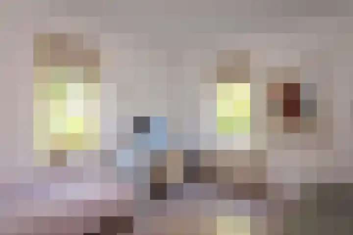 Dintel 39 Tilburg thumbnail 13