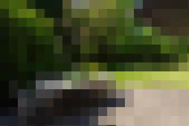 Dintel 39 Tilburg thumbnail 23