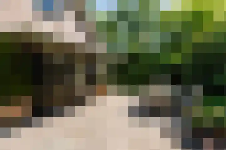 Dintel 39 Tilburg thumbnail 24