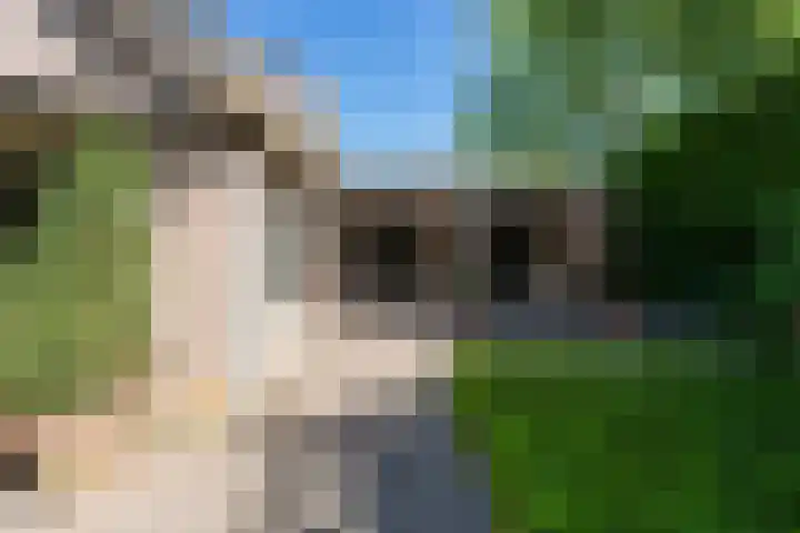 Dintel 39 Tilburg thumbnail 28