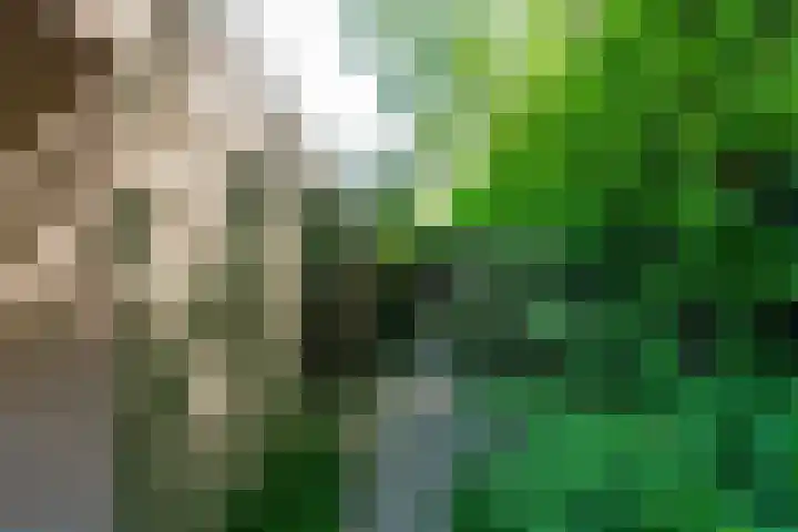 Dintel 39 Tilburg thumbnail 30