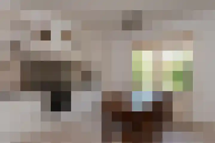 Dintel 39 Tilburg thumbnail 32