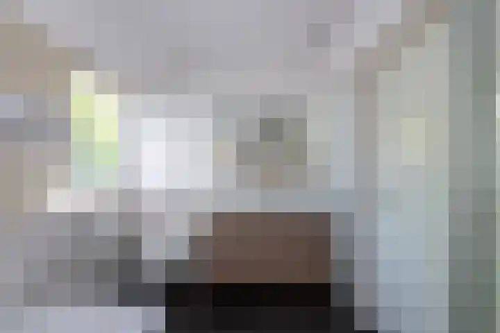 Dintel 39 Tilburg thumbnail 37
