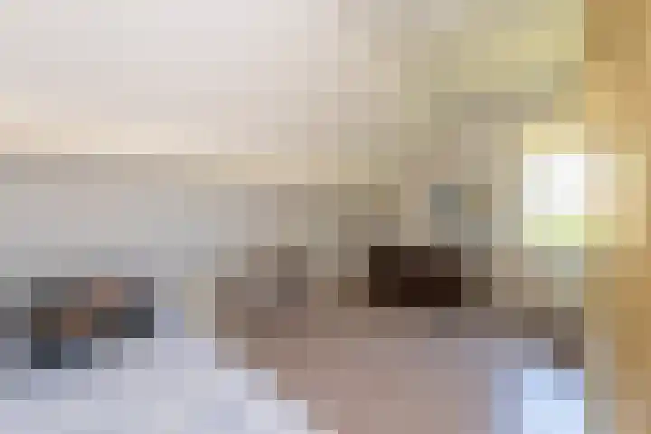 Dintel 39 Tilburg thumbnail 44