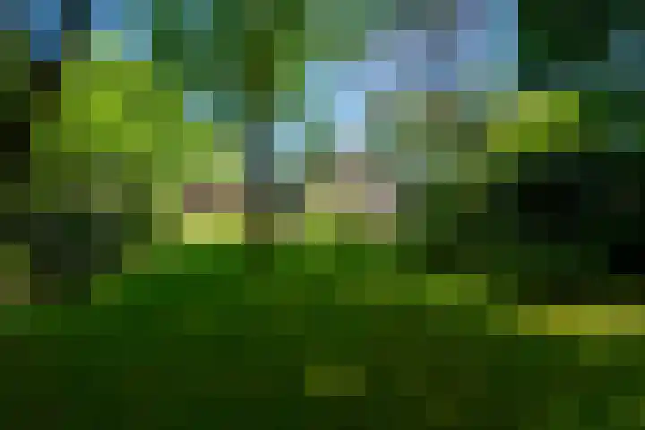 Dintel 39 Tilburg thumbnail 46